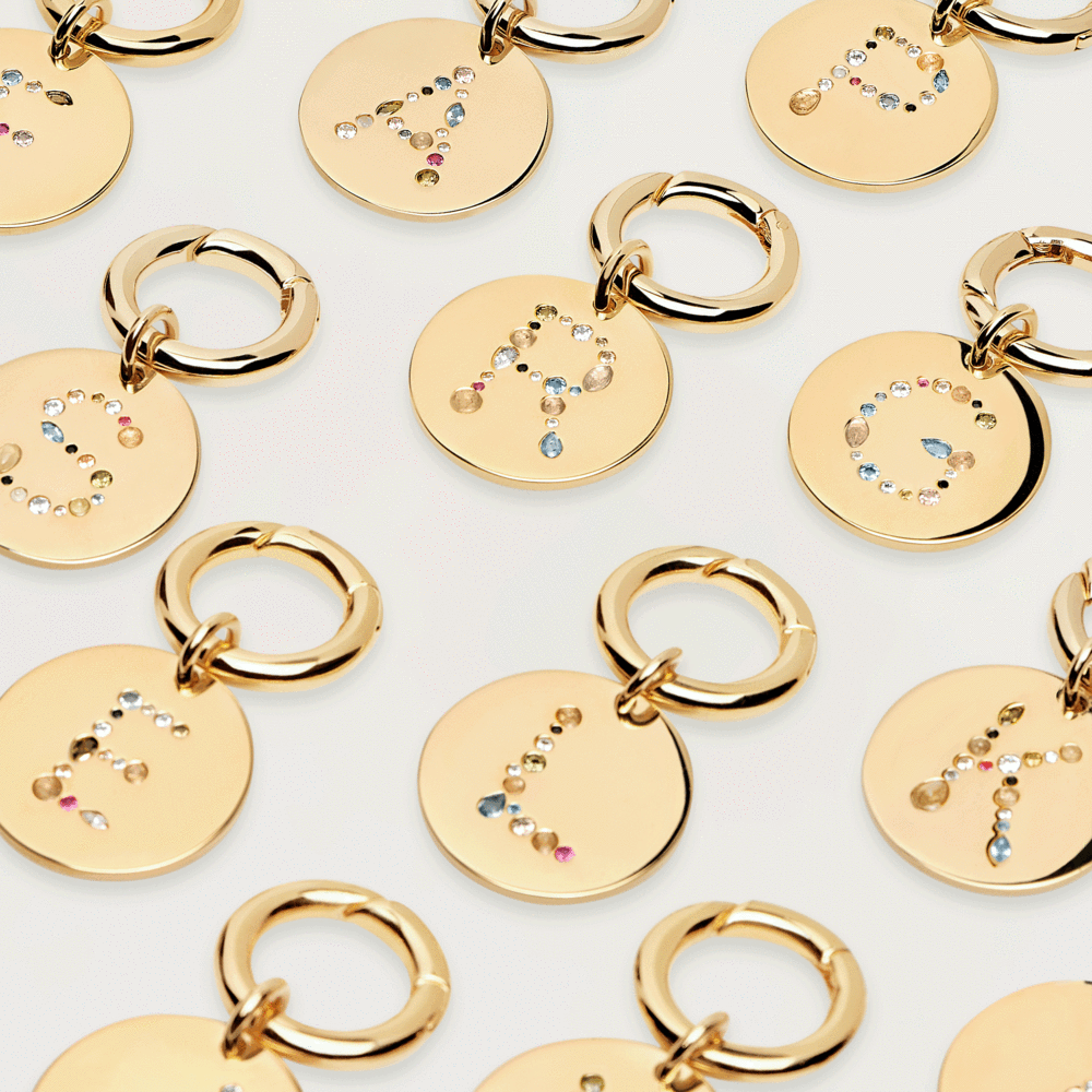 Letter D Pet Charm Jewellery