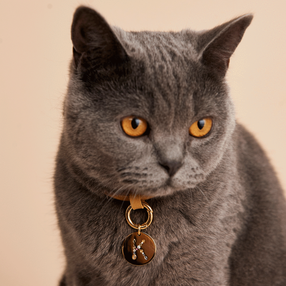 Letter K Pet Charm Jewellery