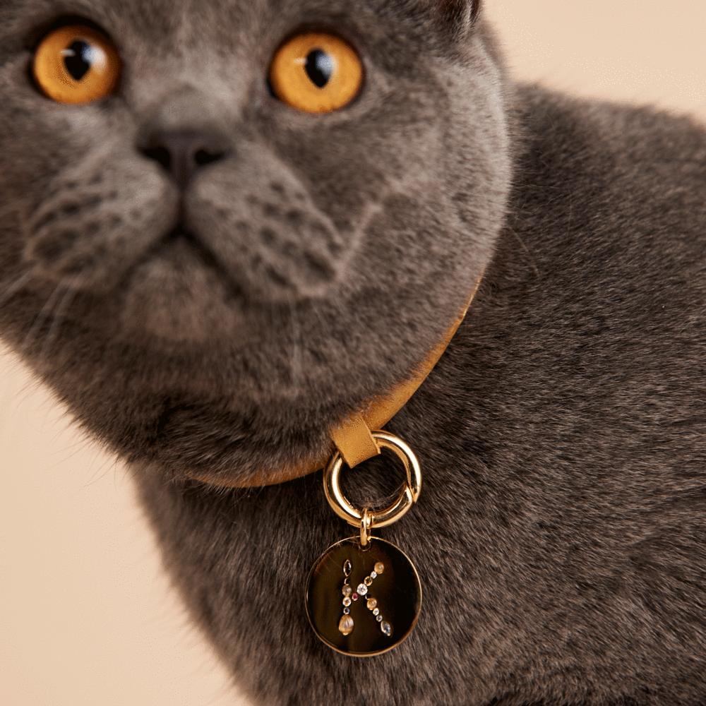 Letter K Pet Charm Jewellery