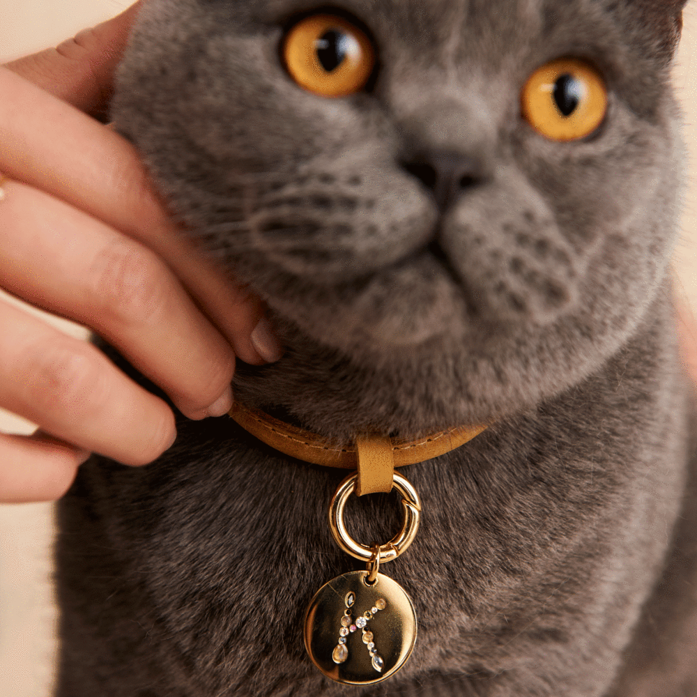 Letter K Pet Charm Jewellery