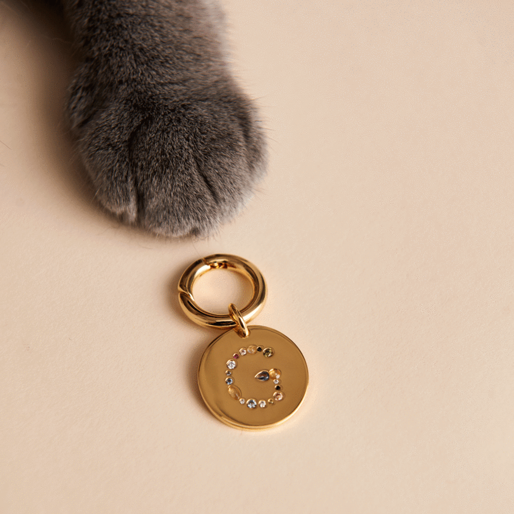 Letter M Pet Charm Jewellery