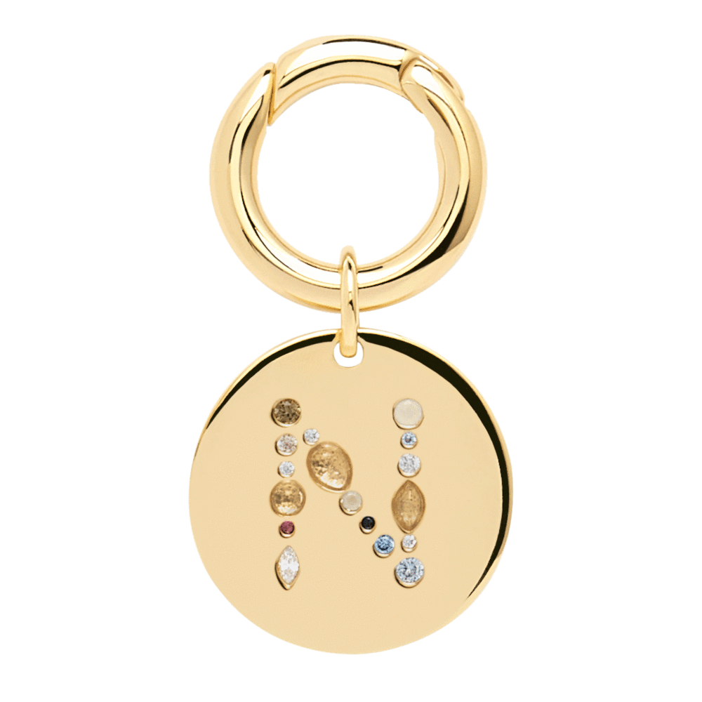 Letter N Pet Charm Jewellery