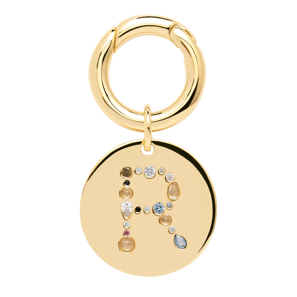 Letter R Pet Charm Jewellery