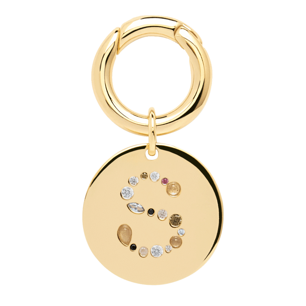 Letter S Pet Charm Jewellery