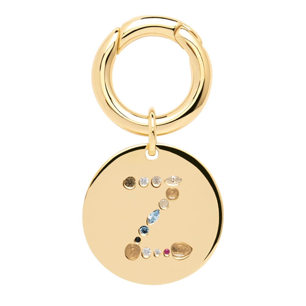 Letter Z Pet Charm Jewellery