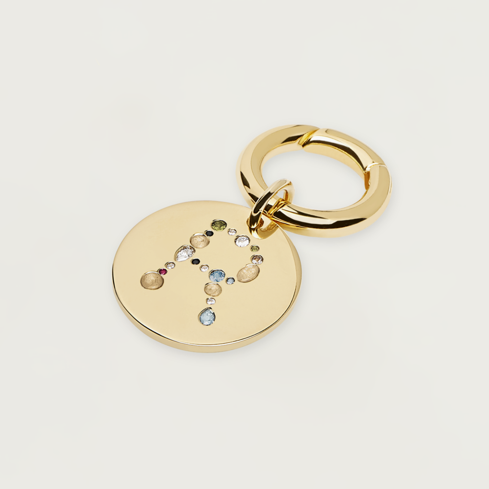 Letter R Pet Charm Jewellery